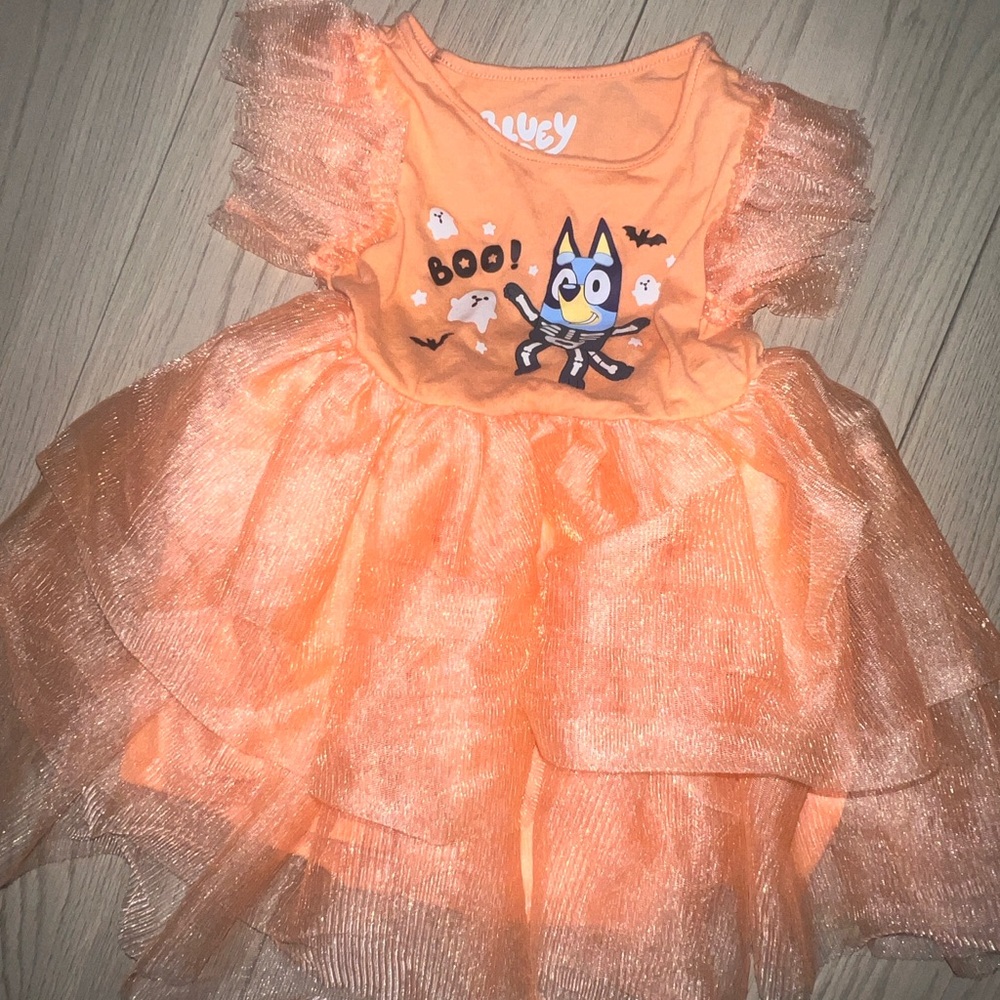 Orange Halloween Dress with bluey Print